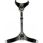 Harness Bad Kitty – Zbozi.Blesk.cz