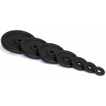 TRINFIT Kotouče na činky litina 2,5 kg / 25 mm – Zboží Dáma