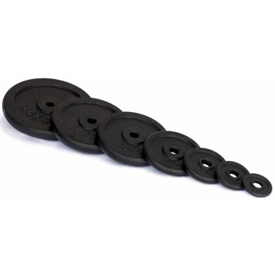 TRINFIT Kotouče na činky litina 2,5 kg / 25 mm – Zboží Dáma
