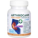 Annabis Arthrocann Collagen Omega 3-6 Forte 60 tablet – Hledejceny.cz