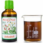 Bylinné kapky Jahodník list + květ BIO kapky tinktura 50 ml – Hledejceny.cz