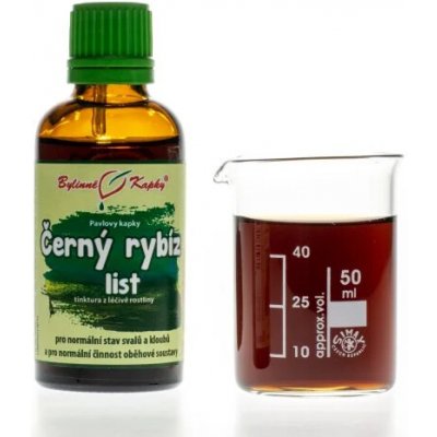 Bylinné kapky tinktura Černý rybíz list 50 ml – Hledejceny.cz