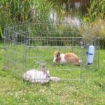 Trixie Pozinkovaná venkovní ohrada pro králíky a morčata 126 x 58 cm – Zboží Mobilmania