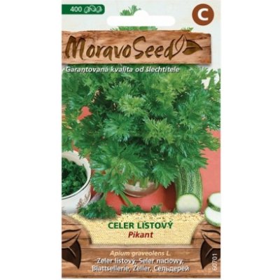 Celer listový PIKANT 60701 MORAVOSEED