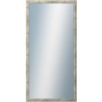 DANTIK TRITON 50 x 100 cm stříbrná 2143 – Hledejceny.cz