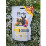 Brit Animals Immune Stick for Rodents 80 g – Zbozi.Blesk.cz