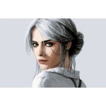 MALUJEŠ Malování podle čísel CIRI 2 Rozměr 40 x 60 cm Rámování vypnuté plátno na rám – Zboží Dáma