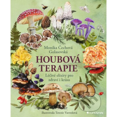 Houbová terapie – Hledejceny.cz