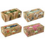 Tento Papírové kapesníčky Family 2-vrstvé 150 ks – Zboží Dáma