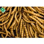 JK ANIMALS Dried Mealworms 450 g – Zboží Dáma