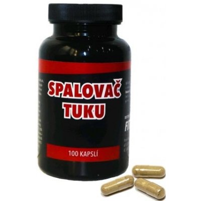 Fitness13 SPALOVAČ TUKU 100 kapslí – Zboží Mobilmania