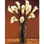 Malování podle čísel Kaly ve váze – Hledejceny.cz