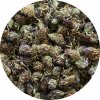 Čaj Salvia Paradise Jetel luční květ 500 g