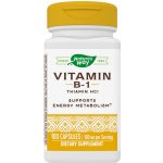 Natures Way Vitamin B1 100 kapslí – Hledejceny.cz