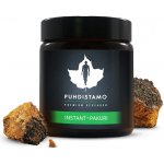 Puhdistamo Instant Chaga Powder 28 g instant – Zboží Mobilmania