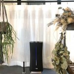 Stadler Form Eva Smart Black – Zbozi.Blesk.cz