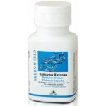 Green World Chitosan 60 kapslí – Hledejceny.cz