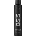 Schwarzkopf Osis Session Label Strong Hold Hairspray 500 ml – Hledejceny.cz