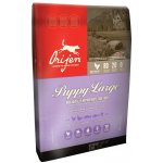 Orijen Puppy Large breed 11,4 kg – Zbozi.Blesk.cz