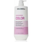 Goldwell Dualsenses Color Brilliance Fade Stop Shampoo 1000 ml – Hledejceny.cz