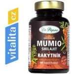 Dr. Popov Mumio Shilajit s rakytníkem 60 kapslí – Hledejceny.cz