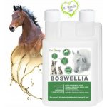 Dromy Boswellia liquid 1 l – Zboží Mobilmania