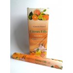 Garden Fresh Vonné tyčinky Citrus Lily 15 ks – Hledejceny.cz