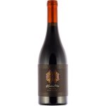 Medi Valley Rubin Excentric Incanto 2017 14,5% 0,75 l (holá láhev) – Hledejceny.cz