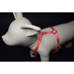 Palkar klasický postroj pro psy – Hledejceny.cz