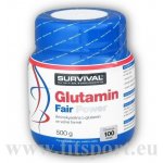 Survival Glutamin fair power 500 g – Hledejceny.cz