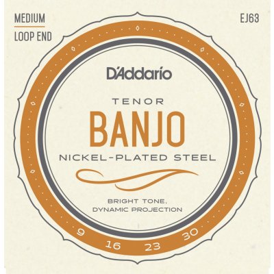 D'addario EJ63