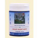 TCM Herbs Chlad ranní mlhy 100 tablet