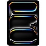 Apple iPad Pro 11 (2024) 512GB Wi-Fi + Cellular Space Grey MVW33HC/A – Zboží Živě