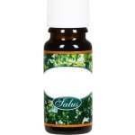 Saloos esenciální olej MALINA 10 ml – Zboží Dáma