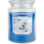 Bispol Aura Maxi Anti Tobacco 500 g – Zboží Mobilmania