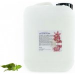 PM Aqualog esence do parních kabin euka-menthol 820-005/D 5 l – Hledejceny.cz