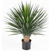 Květina Luxusní umělá palma YUCCA ROSTRATA DELUXE, 80 cm