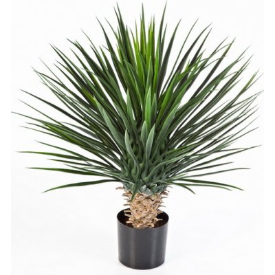 Luxusní umělá palma YUCCA ROSTRATA DELUXE, 80 cm – Zboží Mobilmania