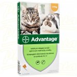 Advantage Spot-on pro malé kočky a králíky 40 mg 1 x 0,4 ml – HobbyKompas.cz
