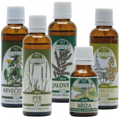 Naděje Kúra K17 pro detoxikaci a regeneraci organismu 175 ml – Hledejceny.cz