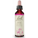 Bachovy květové esence Borovice lesní Pine 20 ml – Hledejceny.cz