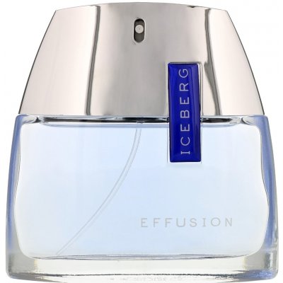 Iceberg Effusion toaletní voda pánská 75 ml – Zbozi.Blesk.cz