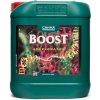 Hnojivo Canna Boost 5 L