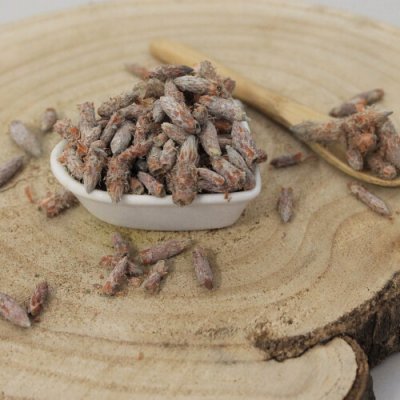 Emerosa Borovica lesná výhonky celé Pinus sylvestris Turio pini sylvestris 250 g – Zboží Dáma