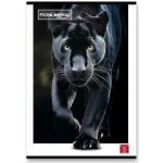 Pigna Animal školní sešit A4 linkovaný – Zboží Dáma