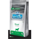 Vet Life Renal 12 kg