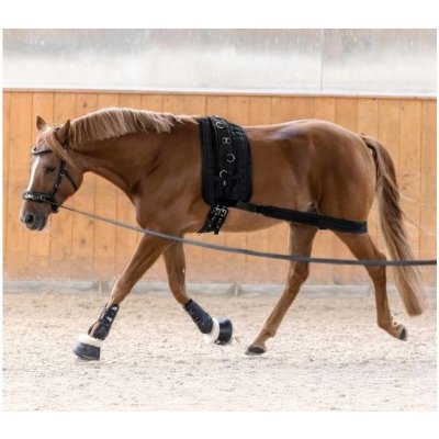 WALDHAUSEN Lonžovací popruh pod zadní nohy black – Zboží Dáma