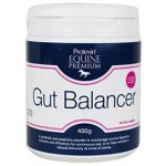 Protexin Equine Premium Gut Balancer 0,4 kg – Zboží Dáma
