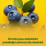 Walmark Varixinal 60 tablet – Hledejceny.cz