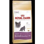 Royal Canin British Shorthair Adult drůbeží 10 kg – Hledejceny.cz